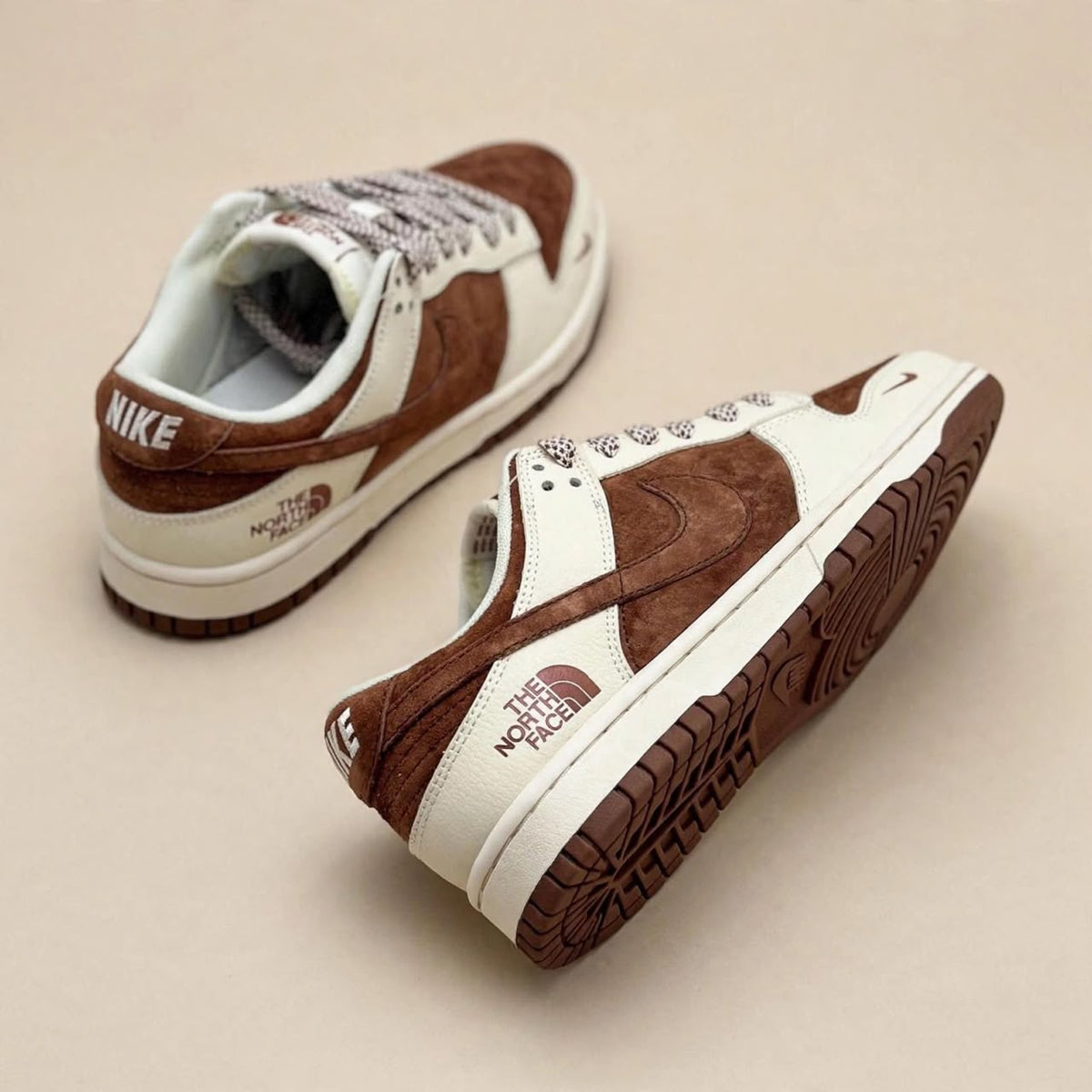 Nike sb Dunk low x the north face